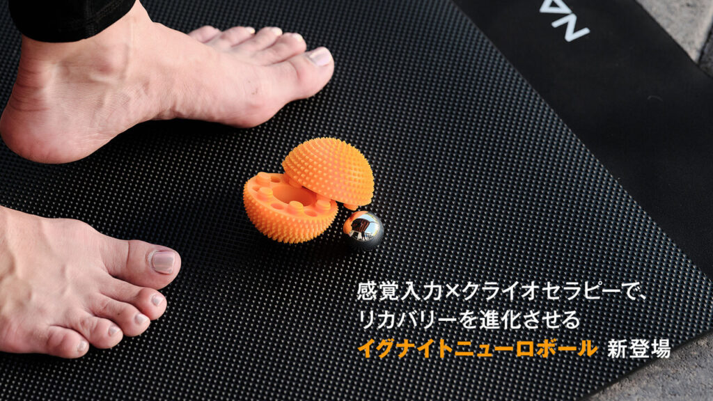 ナボソ イグナイトニューロボール