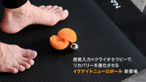 ナボソ イグナイトニューロボール