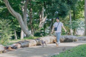 Life with Naboso Vol.1_毎日のちょっとした時間を、自分の身体を整える「リカバリー時間」に