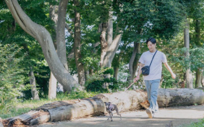 毎日のちょっとした時間を、自分の身体を整える「リカバリー時間」に
