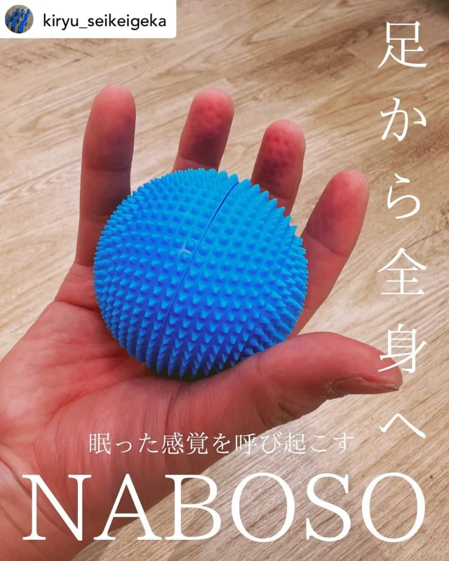 ナボソ公式】プロダクト一覧|米国足病医開発の新感覚インソール ナボソ公式】プロダクト一覧|米国足病医開発の新感覚インソール